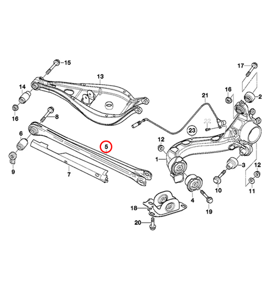 E36/E46 Rear Lower Camber Arms